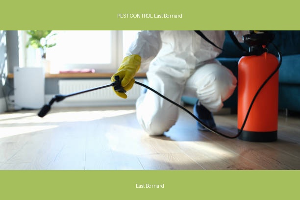 PEST CONTROL East Bernard